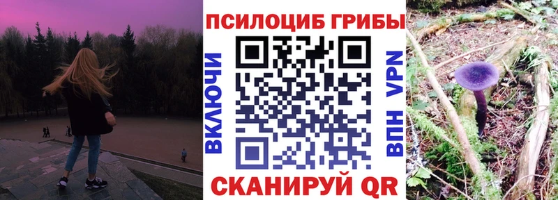 KRAKEN как войти  купить закладку  Дюртюли  Псилоцибиновые грибы мицелий 